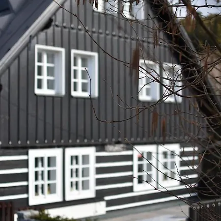 Navrat